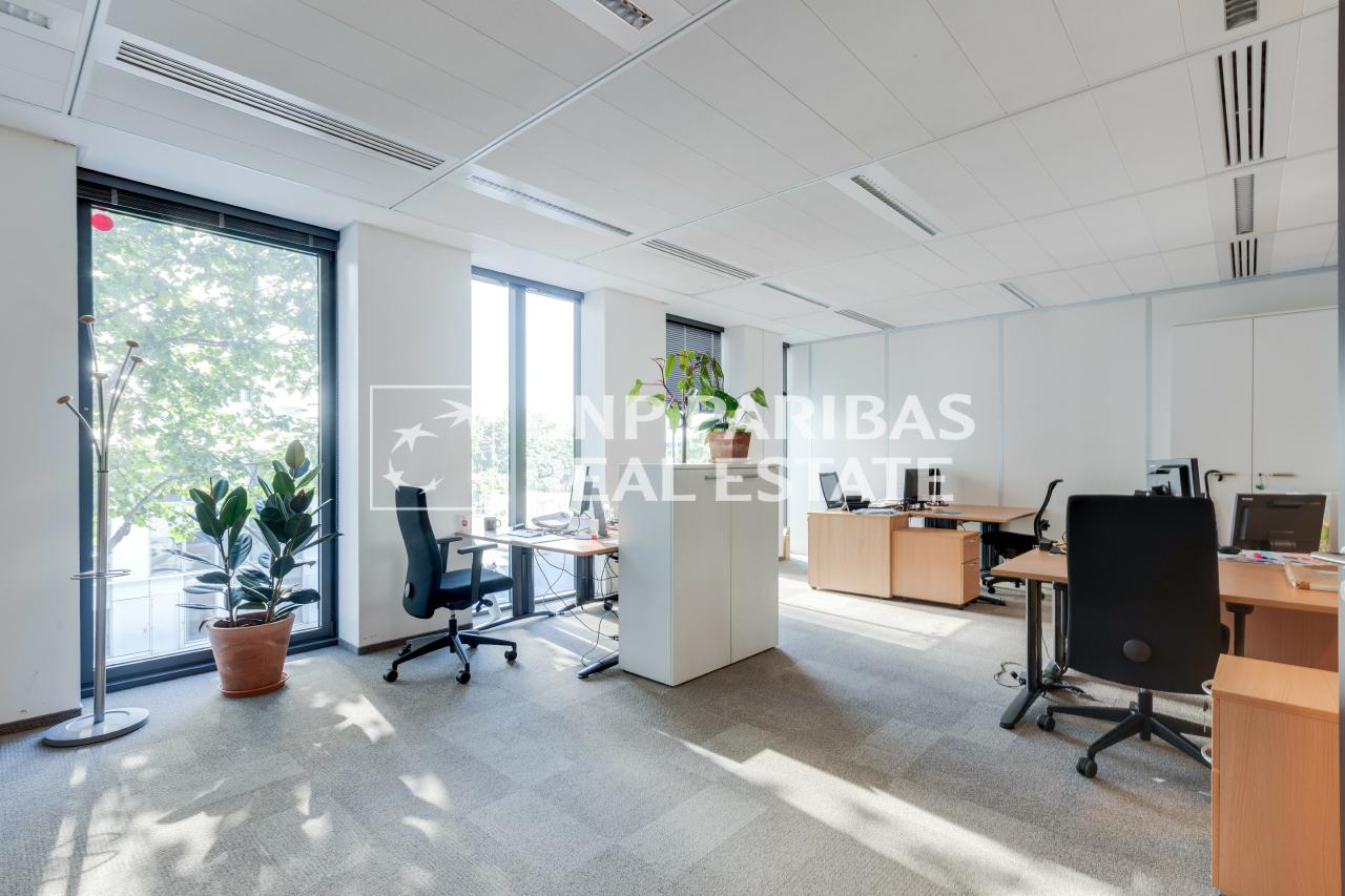 Bureau Arcueil 3708m² Location bureau Arcueil Val-de-Marne OLBUR2104454 13